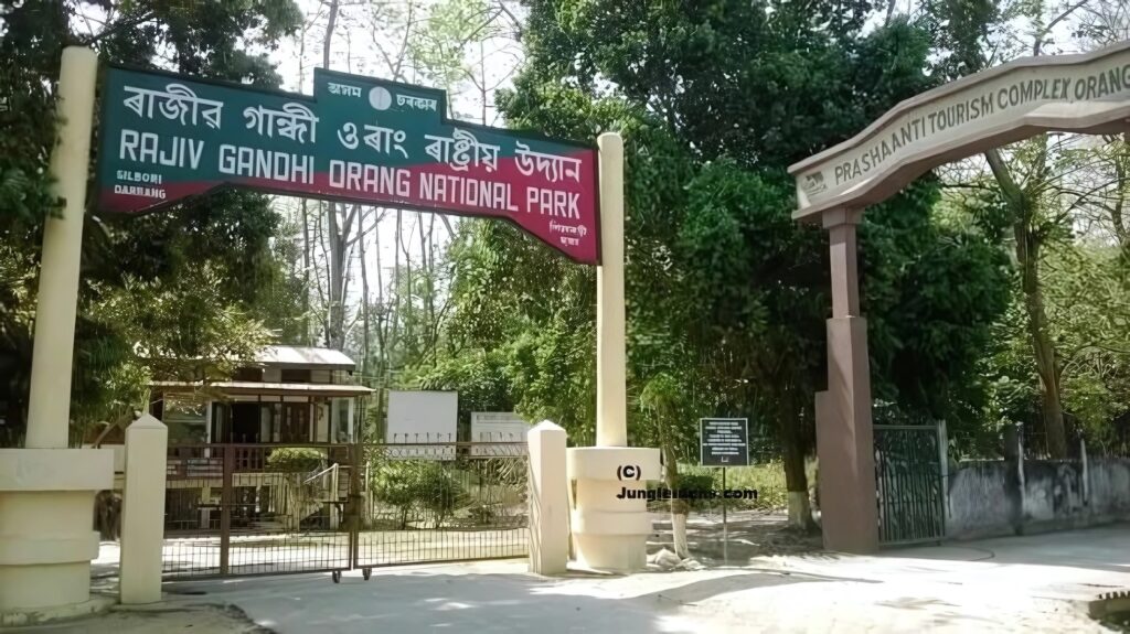 Orang National Park
